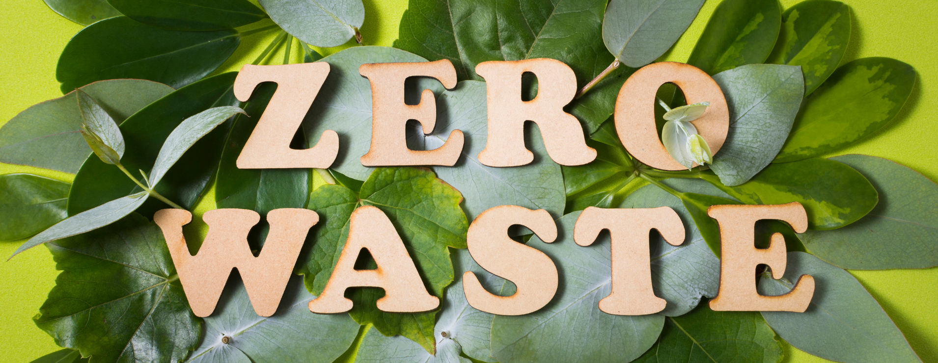 Timo design egyedi zero waste és egészségvédő termékek