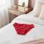 Red bikini style teen leak-proof underwear with lace